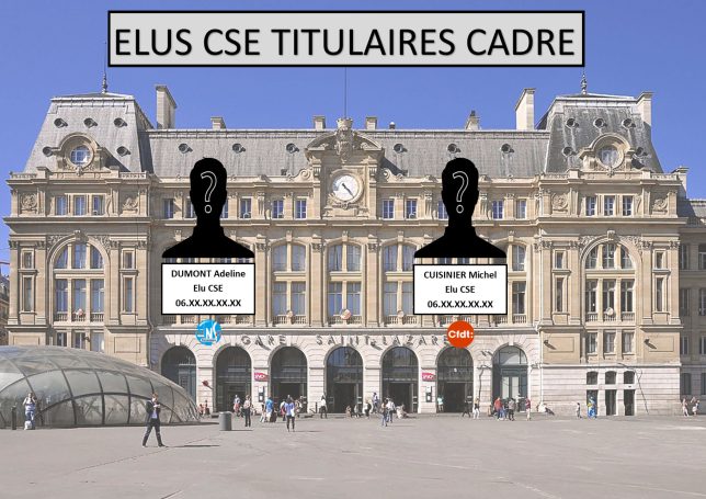 Elu CSE Titulaires Cadre